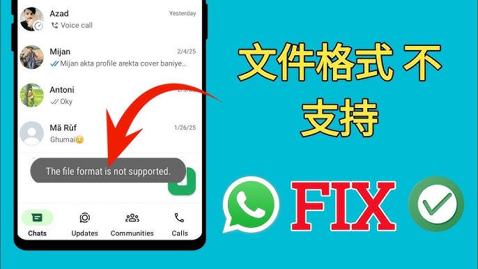 WhatsApp可以傳輸哪些檔案？最新規則解析