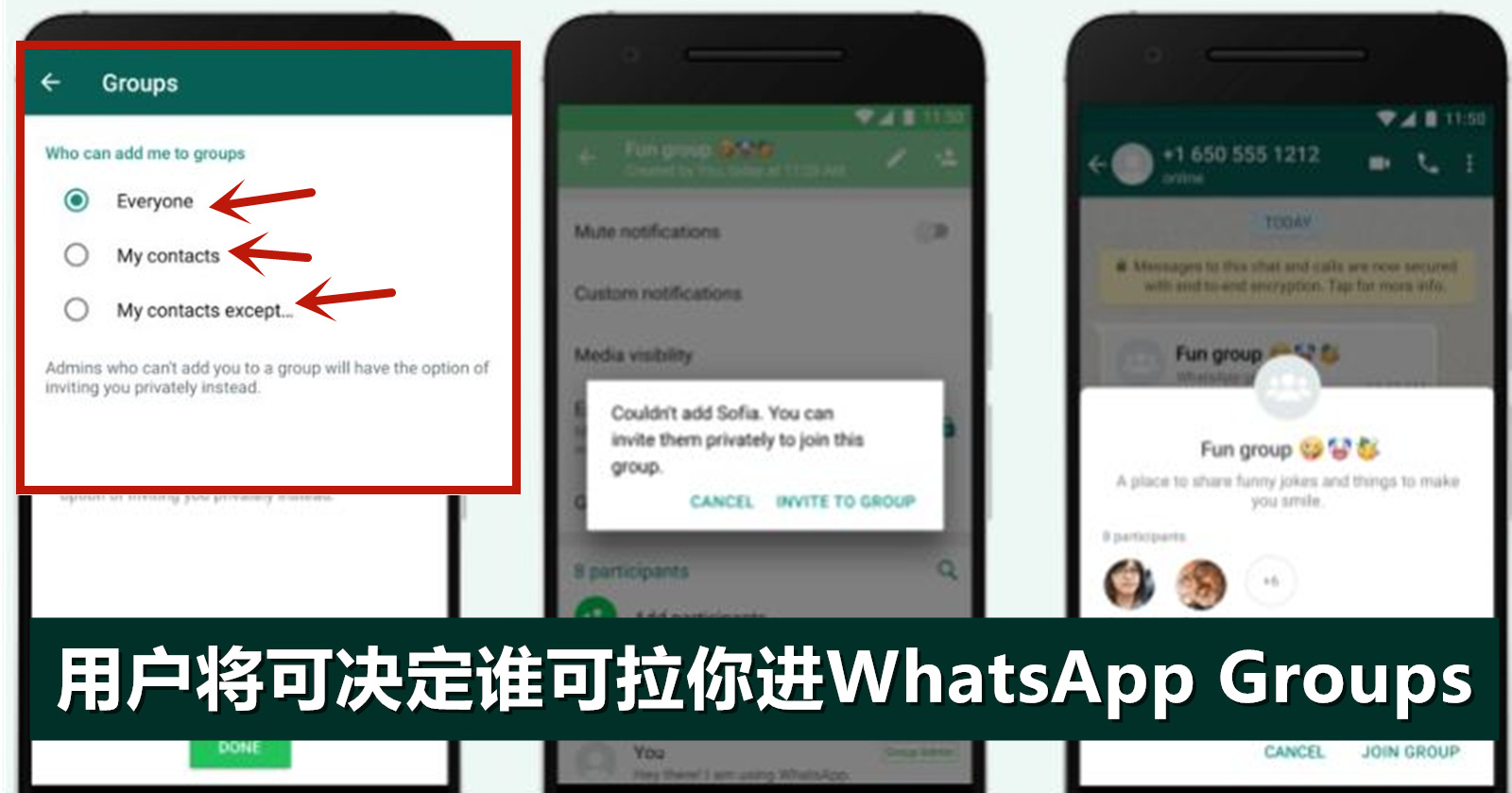 新手必看：WhatsApp群公告檢視方法詳解