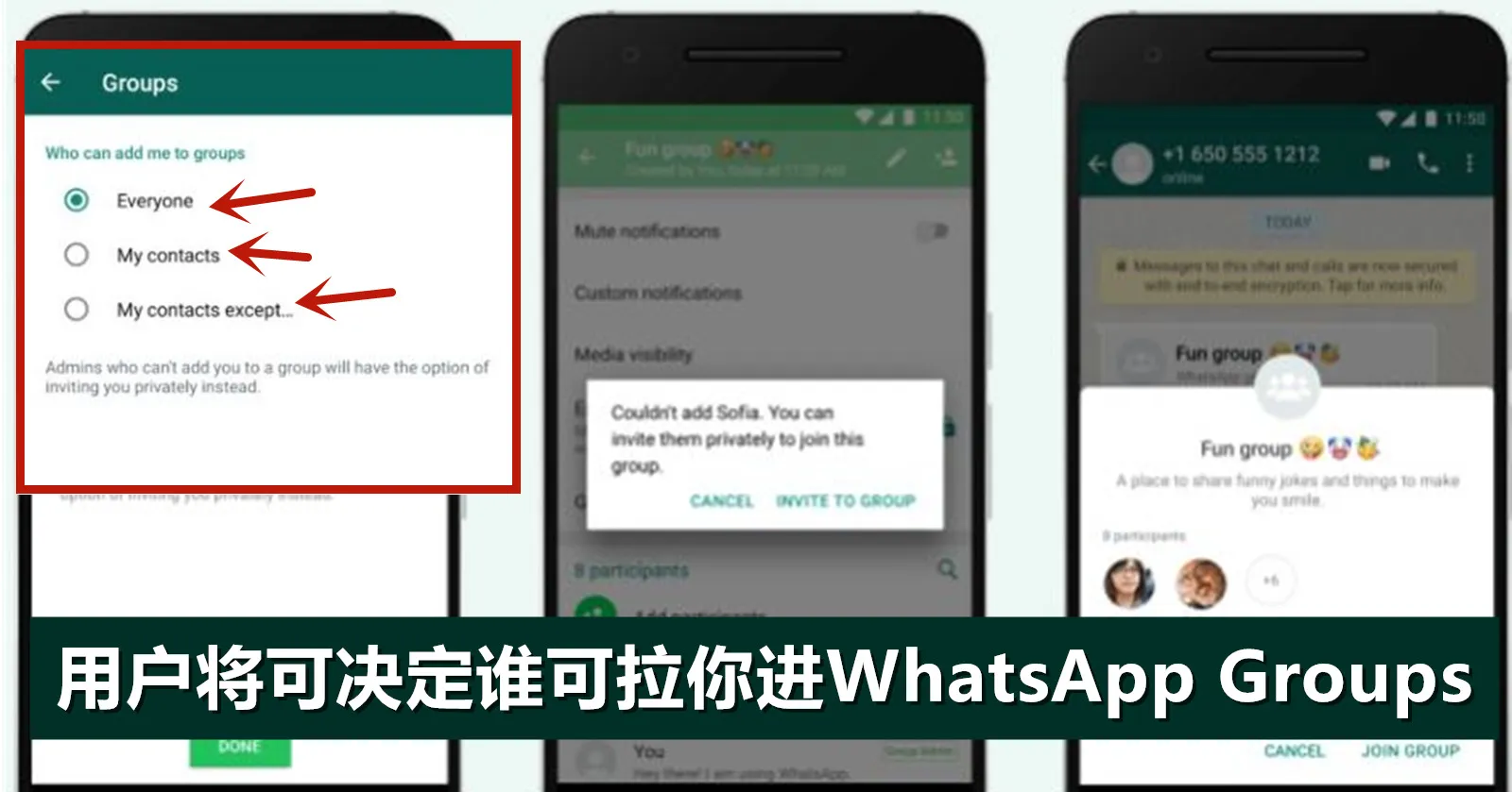 WhatsApp 群公告檢視指南：新手也能快速找到公告位置的完整步驟