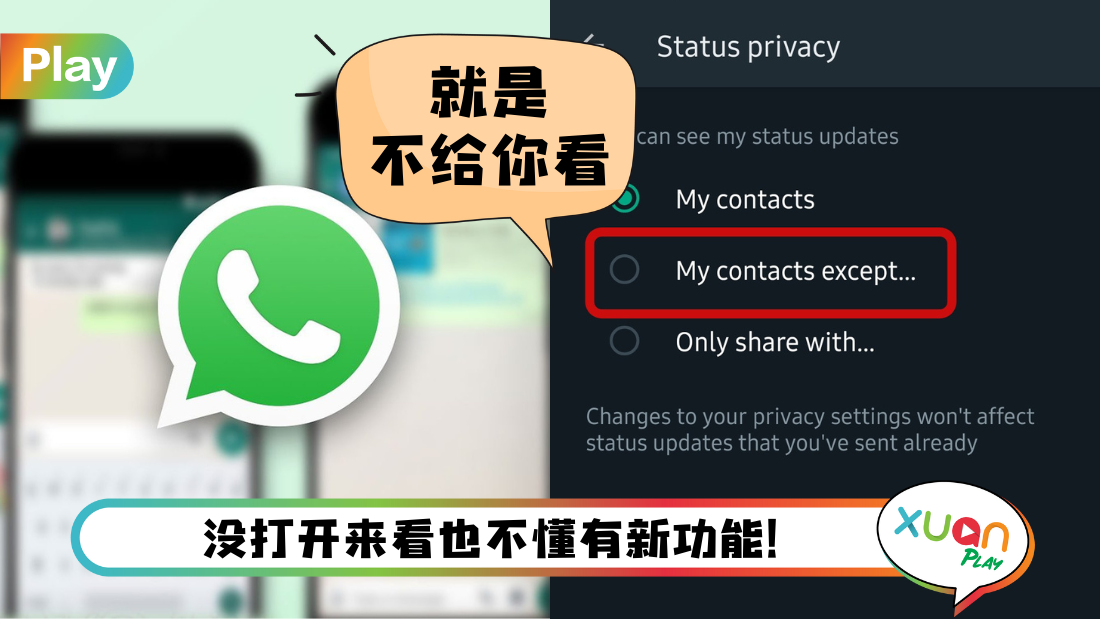 WhatsApp 頭像不顯示的真正原因：隱私許可權、賬號限制與常見誤區完整解析